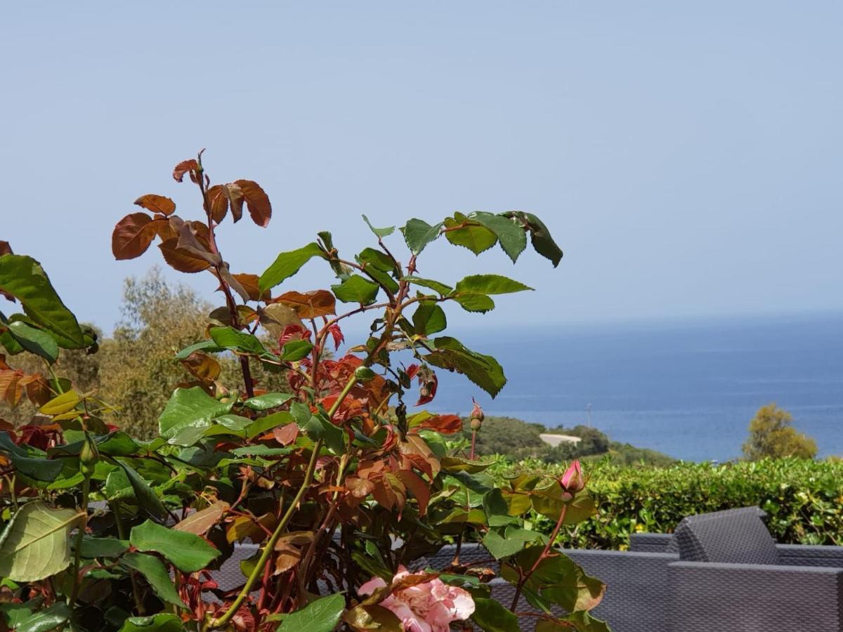 Acquaviva Park Hotel Portoferraio Exterior photo